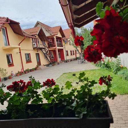 Vila Vladut Zărneşti Eksteriør bilde