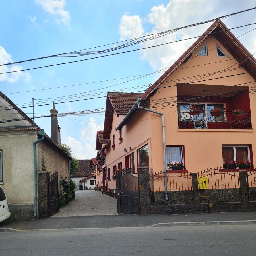 Vila Vladut Zărneşti Eksteriør bilde