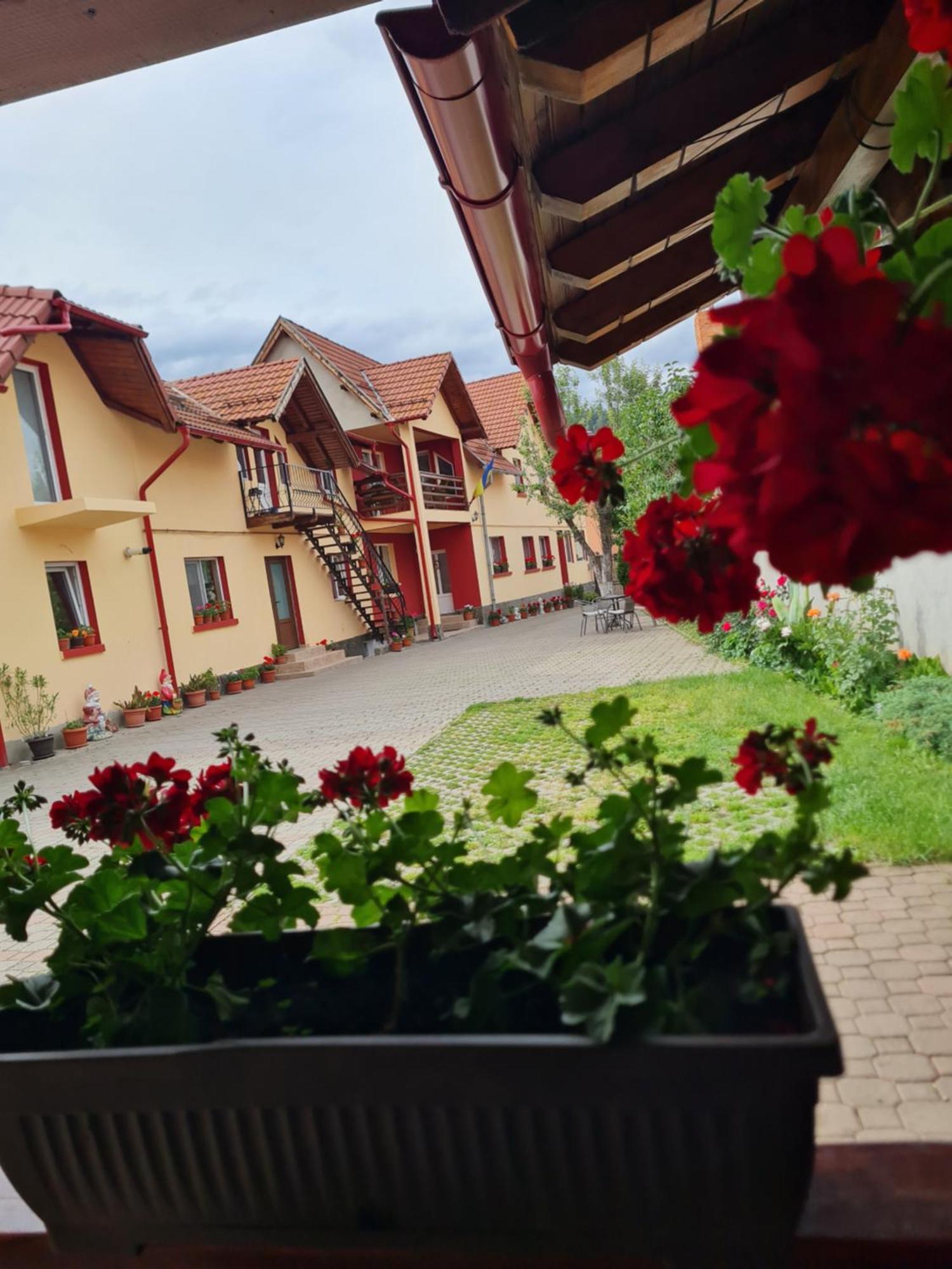 Vila Vladut Zărneşti Eksteriør bilde